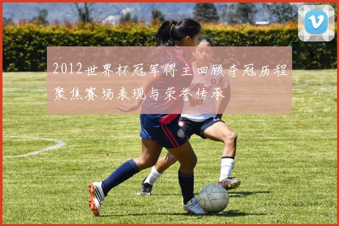 2012世界杯冠军得主回顾夺冠历程聚焦赛场表现与荣誉传承
