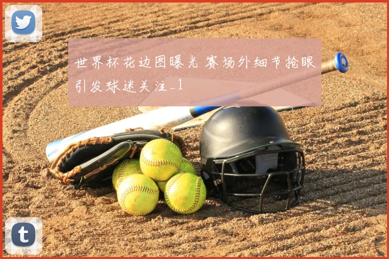 世界杯花边图曝光 赛场外细节抢眼引发球迷关注_1