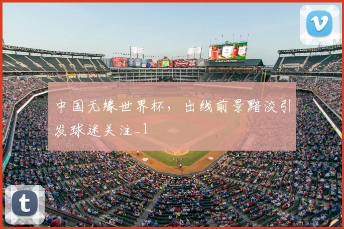中国无缘世界杯,出线前景黯淡引发球迷关注_1