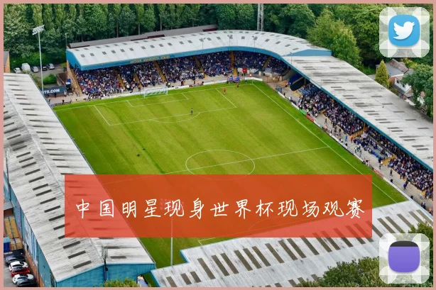 中国明星现身世界杯现场观赛