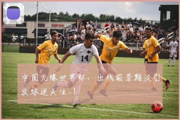 中国无缘世界杯,出线前景黯淡引发球迷关注_1