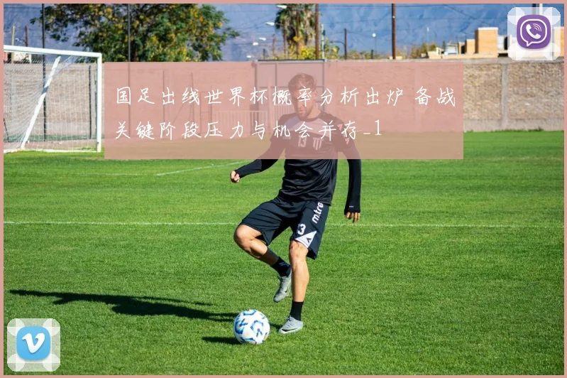 国足出线世界杯概率分析出炉 备战关键阶段压力与机会并存_1