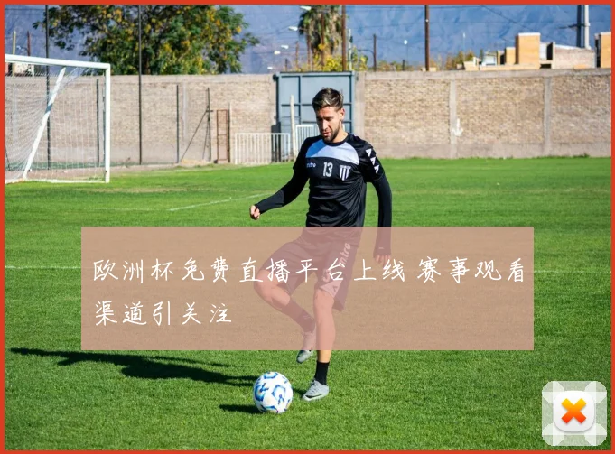 欧洲杯免费直播平台上线 赛事观看渠道引关注