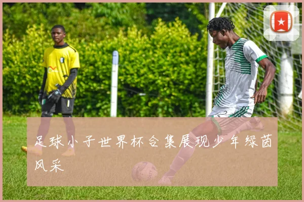 足球小子世界杯合集展现少年绿茵风采